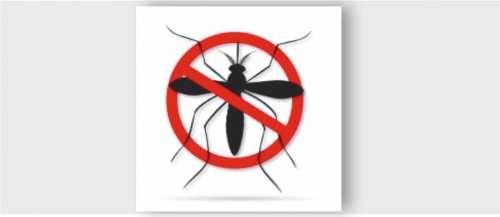 Disinfestazione